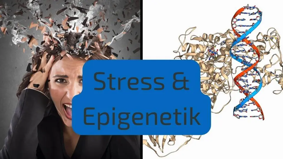 Epigenetik Nährstoffe – Gene durch Ernährung beeinflussen