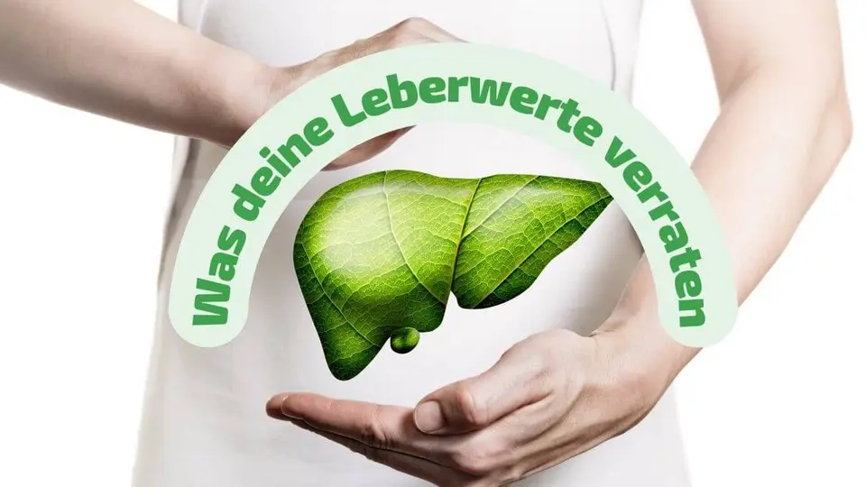 Leberwerte