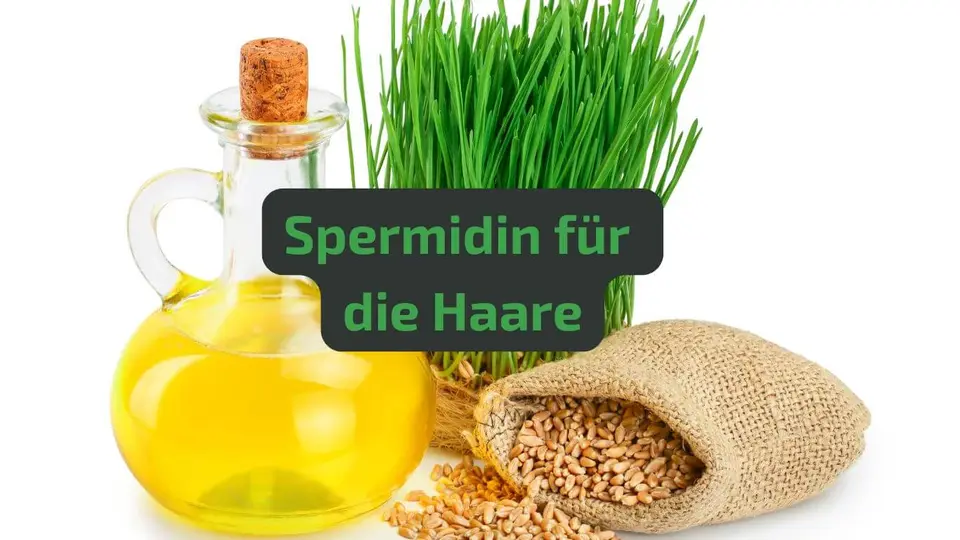 Spermidin Wirkung Haare