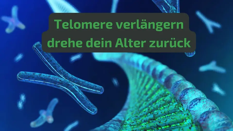 Telomere verlängern