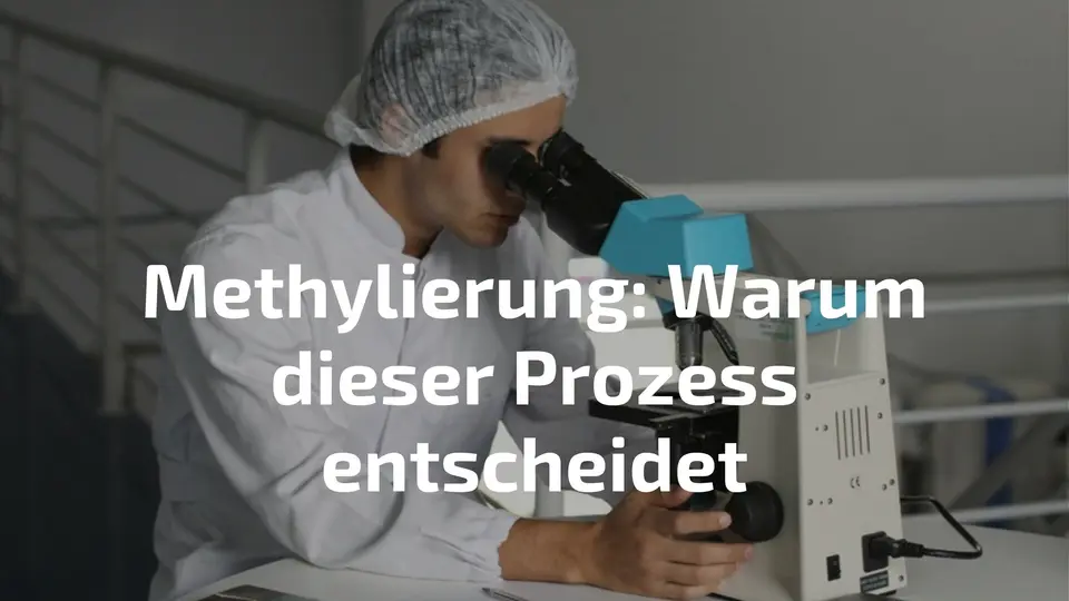 Methylierung: Warum dieser Prozess über deine Energie entscheidet