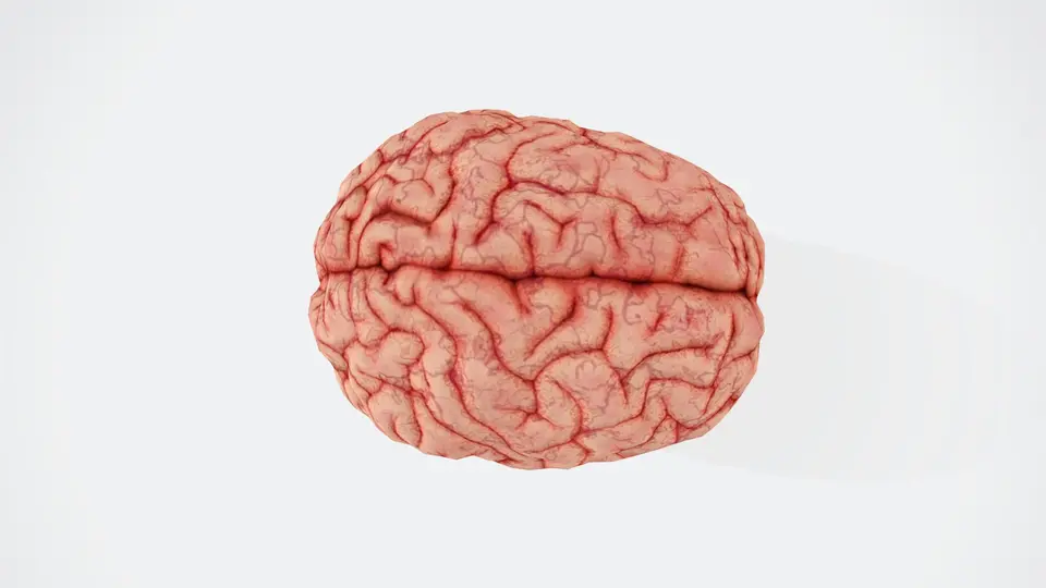 Konzentration steigern natürlich gegen Brain Fog