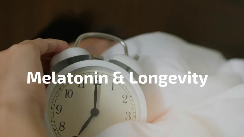 Wecker Bett Schlaf – Melatonin Wirkung Schlaf Immunsystem Longevity