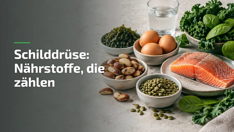 Schilddrüse Nährstoffe: Paranüsse, Algen, Eier, Fisch und Kürbiskerne liefern Selen, Jod und Zink