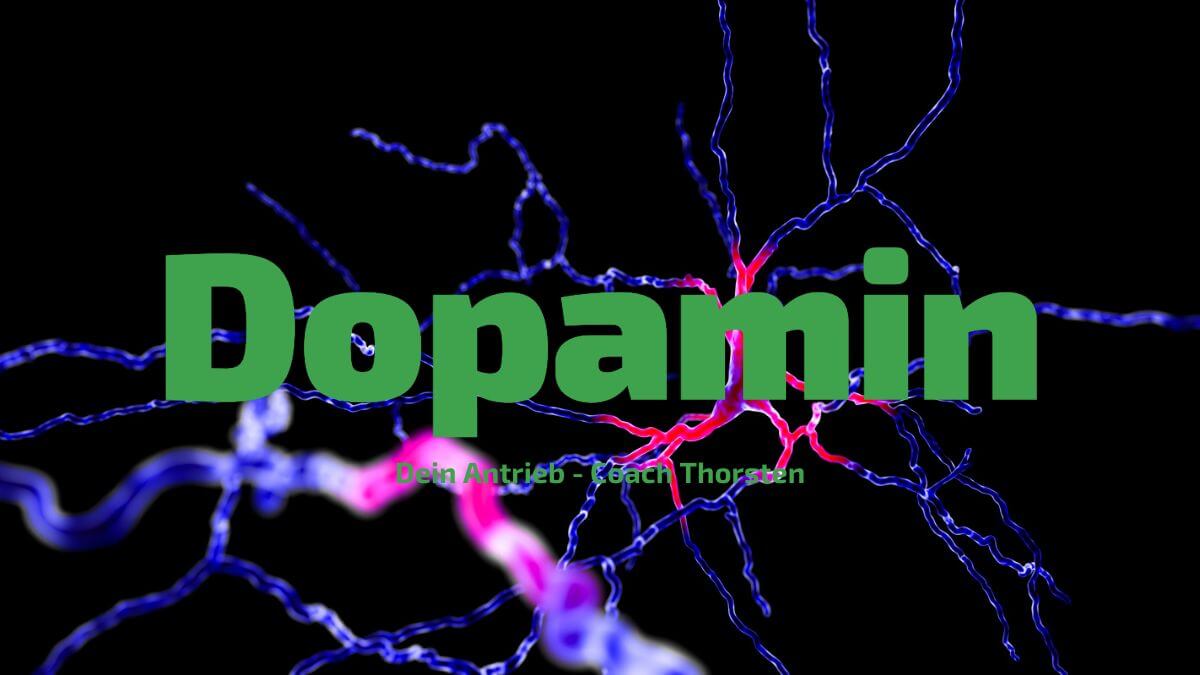 Dopamin was ist das