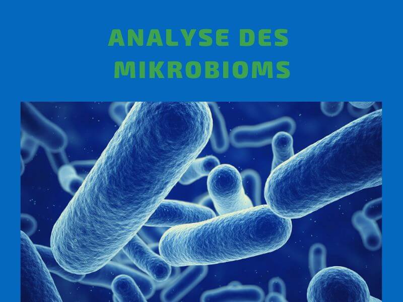 Mybioma Mikrobiomtest