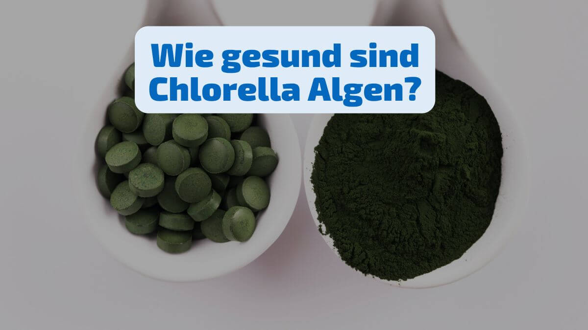 Sind Chlorella Algen wirklich gesund?