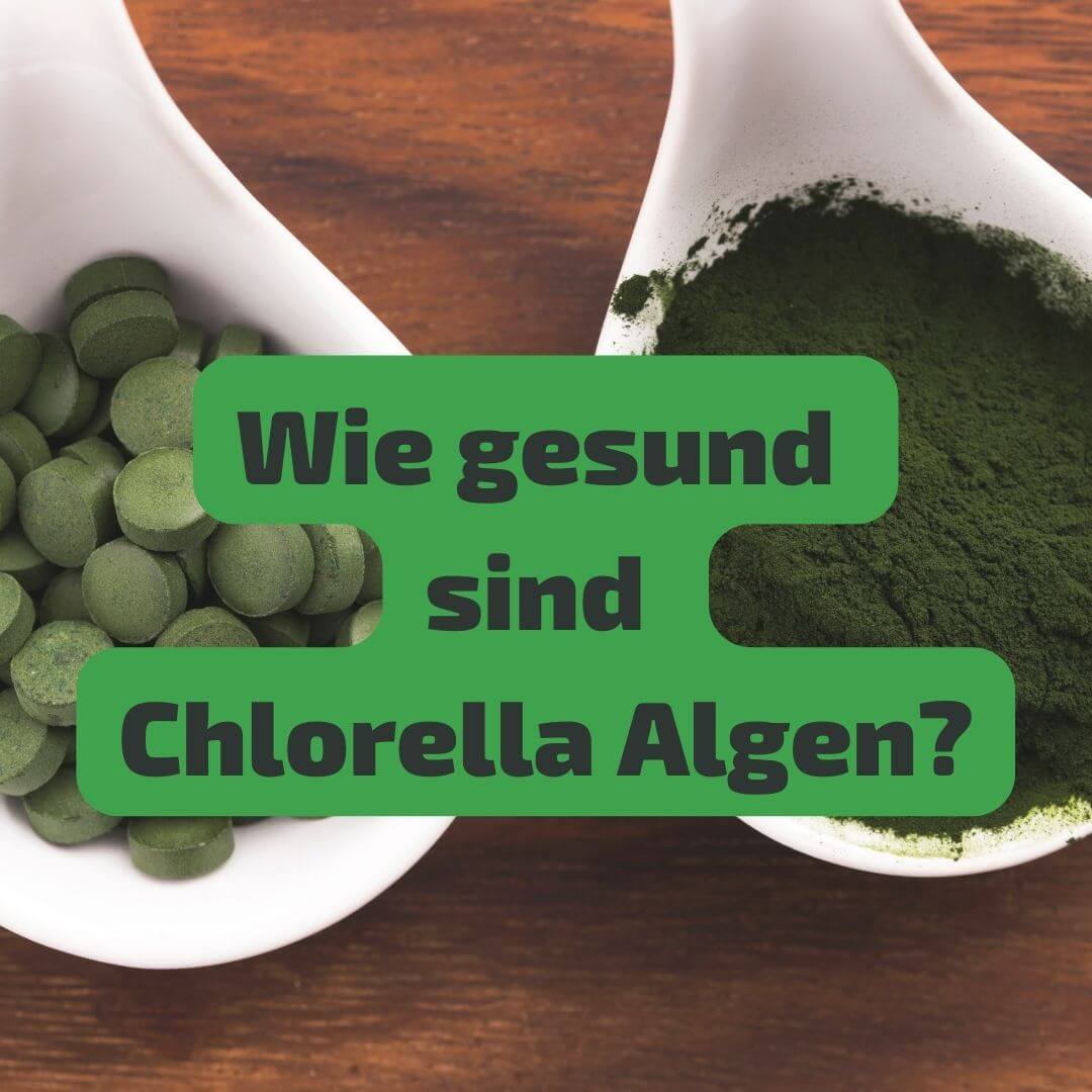 Sind Chlorella Algen gesund?