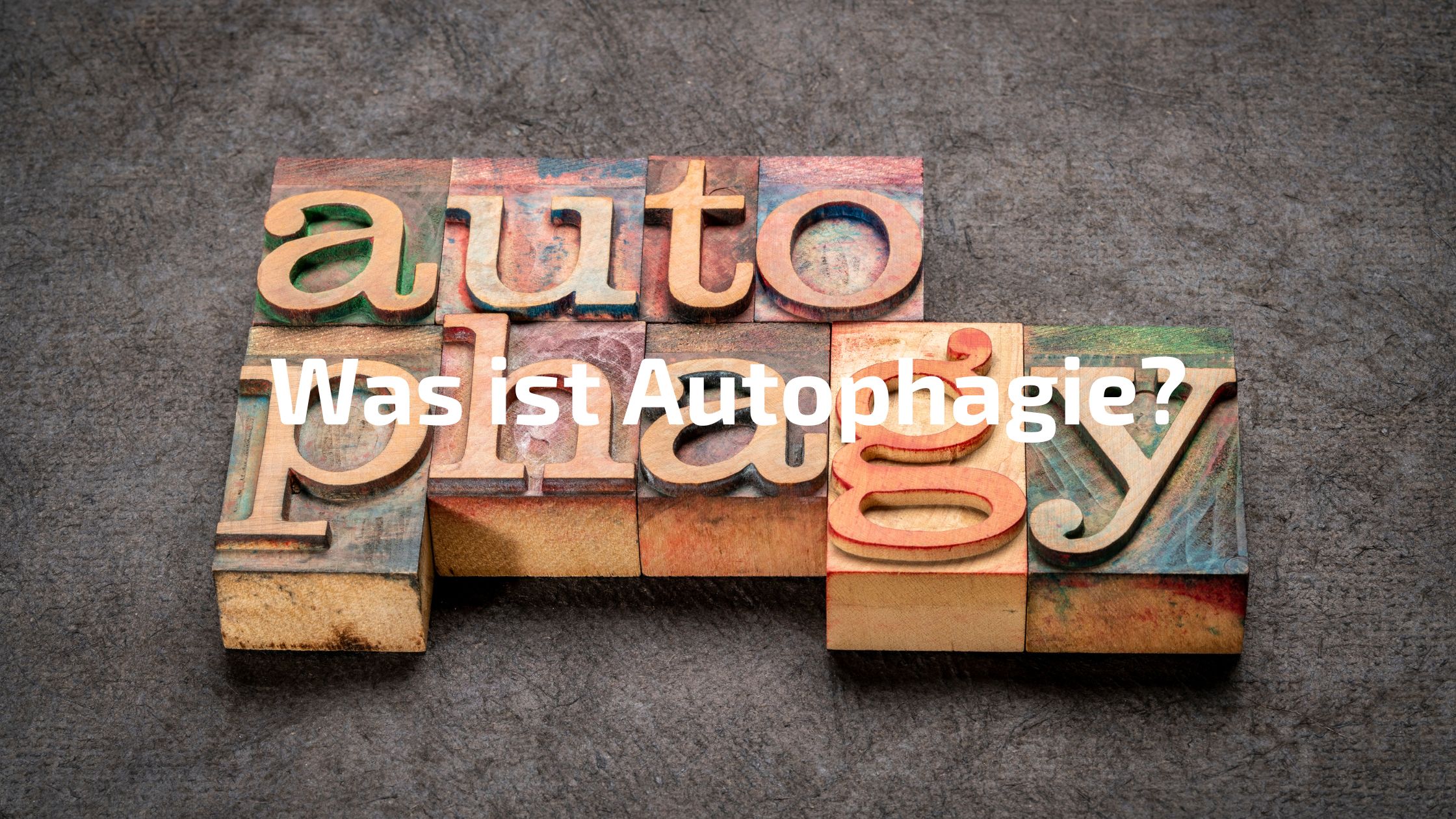 Was ist Autophagie
