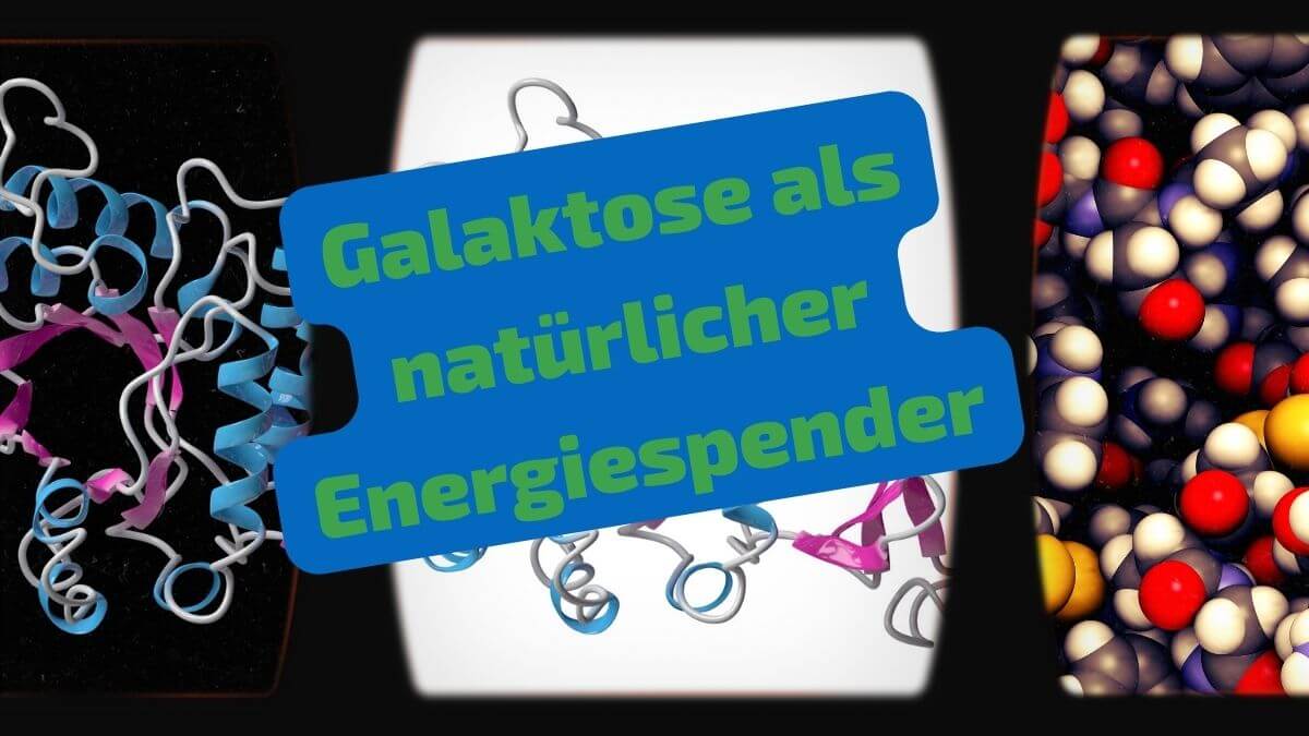 Galaktose als natürliche Energiequelle