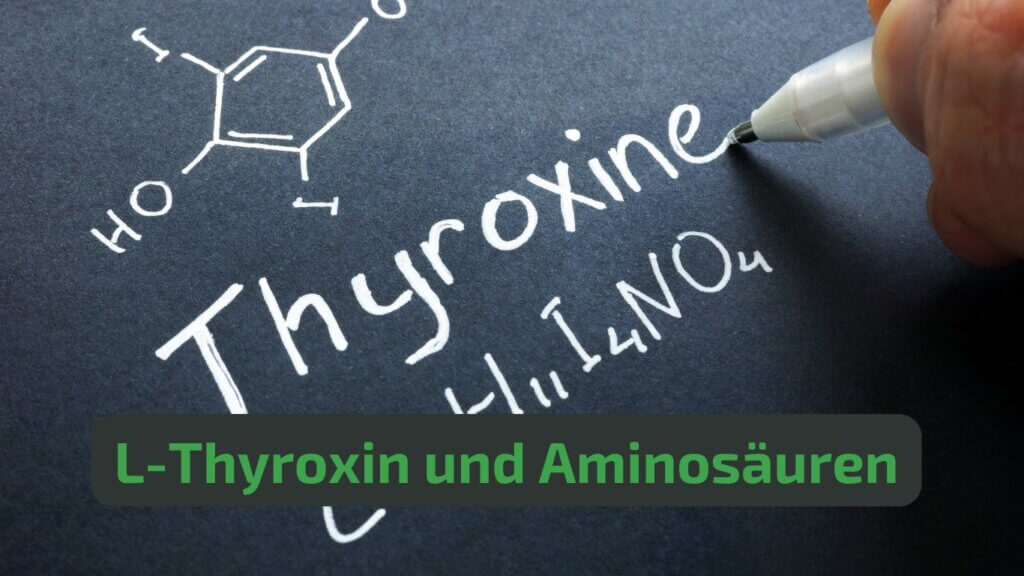 Aminosäuren Schilddrüse: L-Tyrosin als Ausgangsstoff für T3 und T4