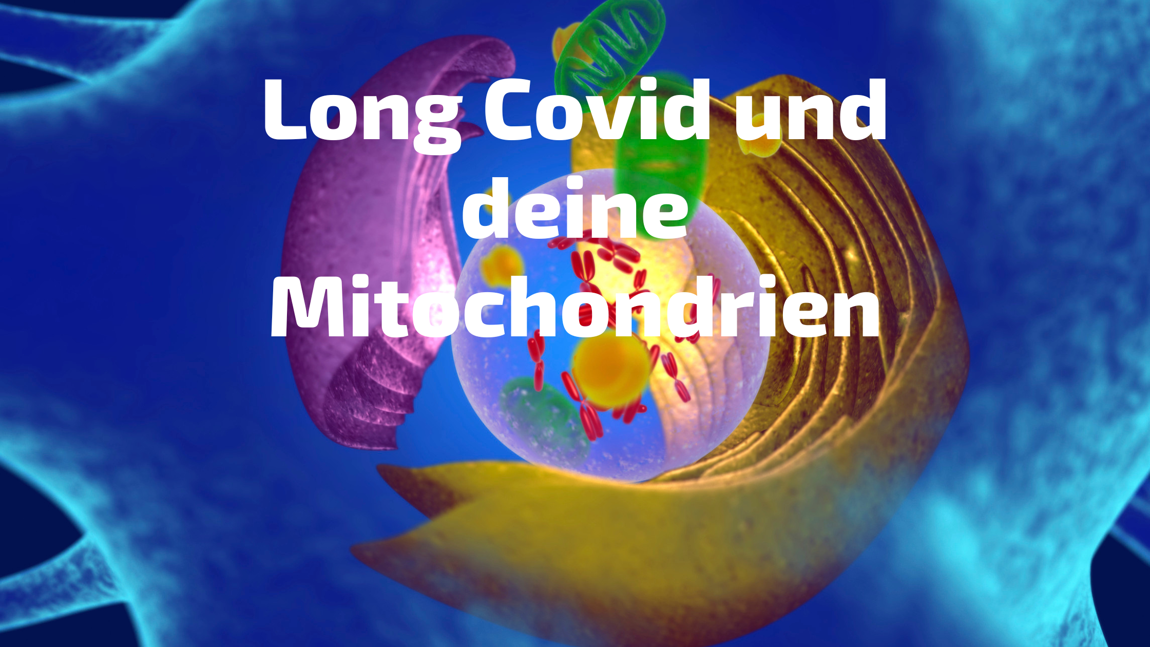 Long Covid Mitochondrien