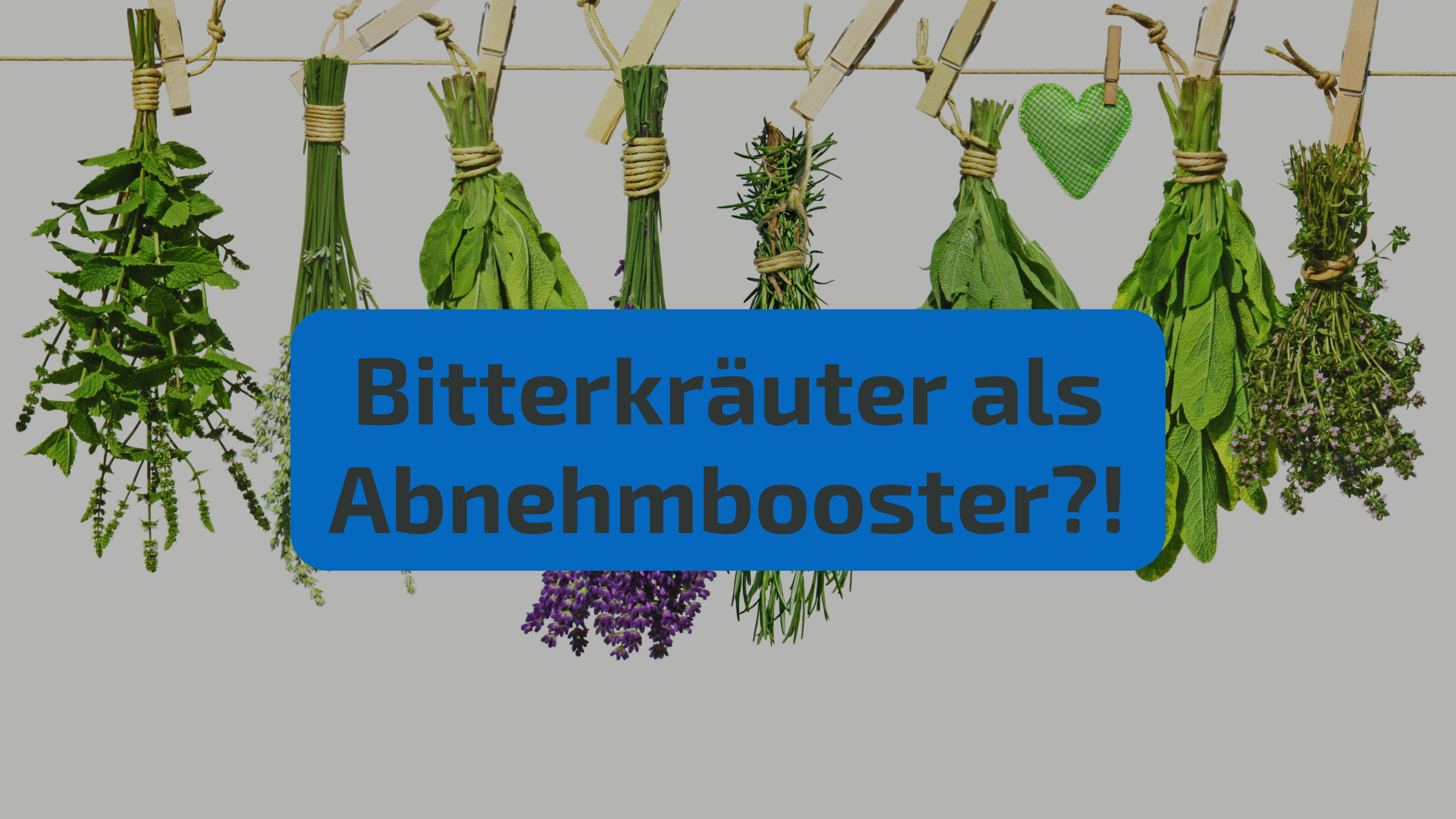 Bitterkräuter beim Abehmen