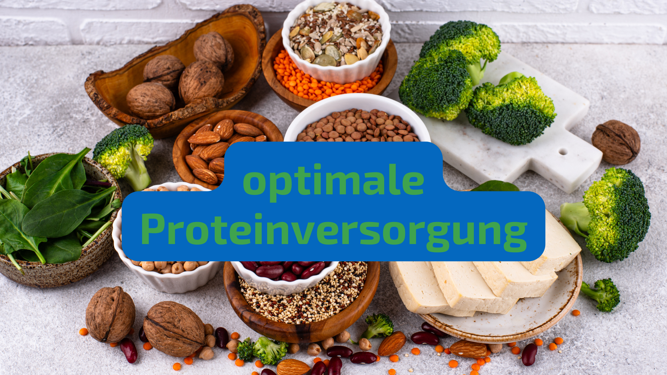 optimale Proteinversorgung
