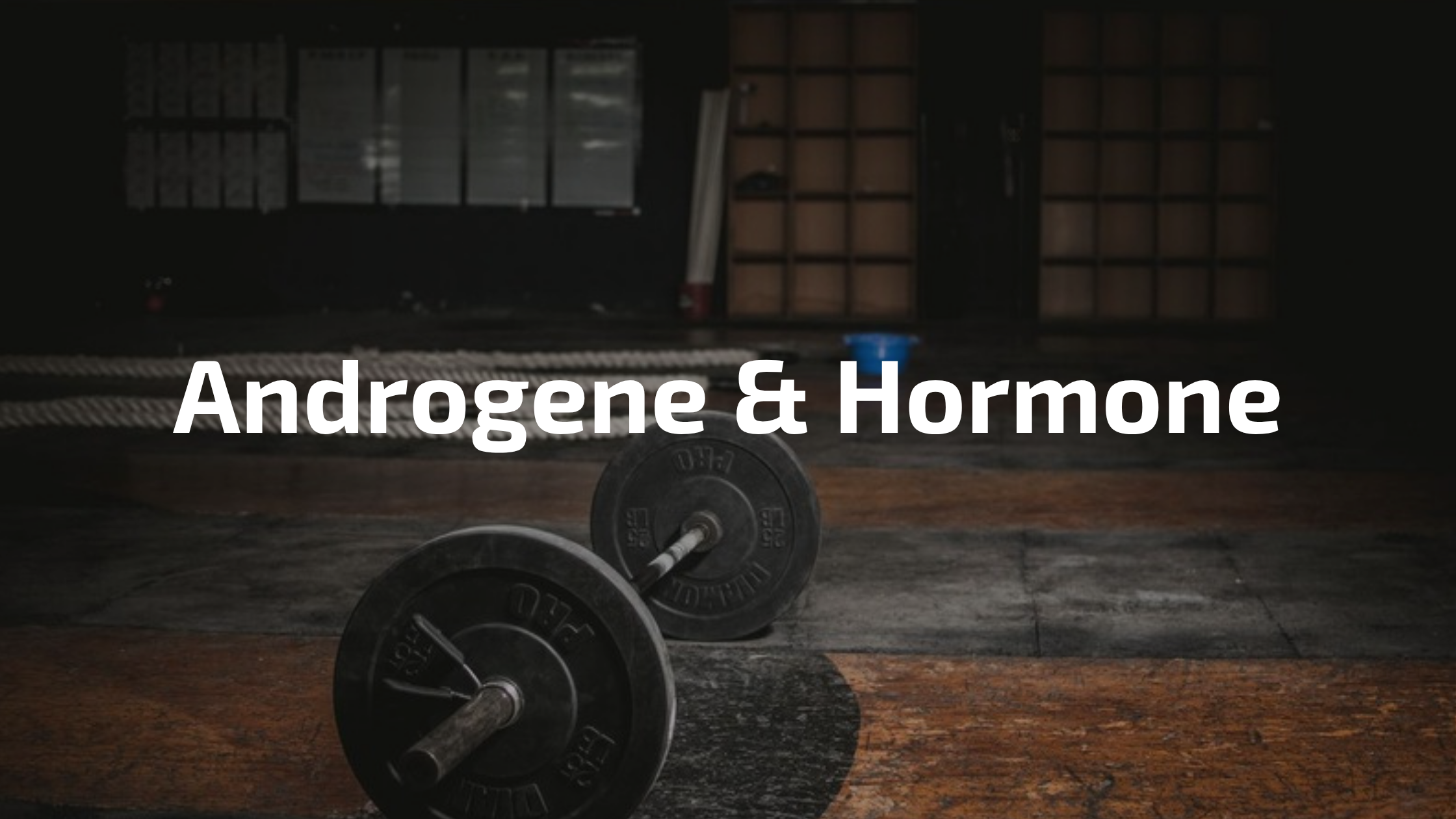 Fitness Training – Androgene und Testosteron natürlich