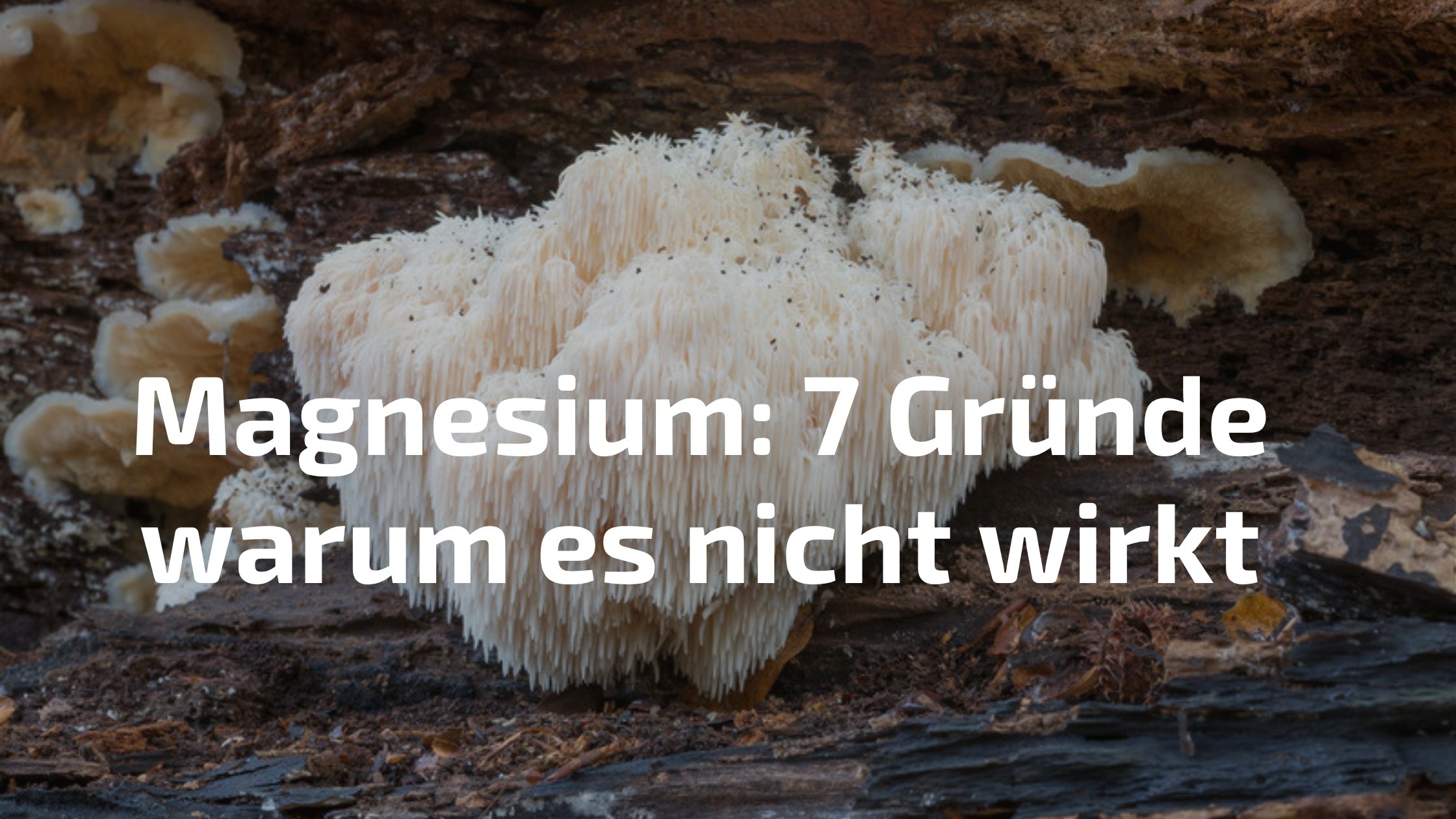 Magnesium wirkt nicht – 7 häufige Fehler bei der Supplementierung erkennen