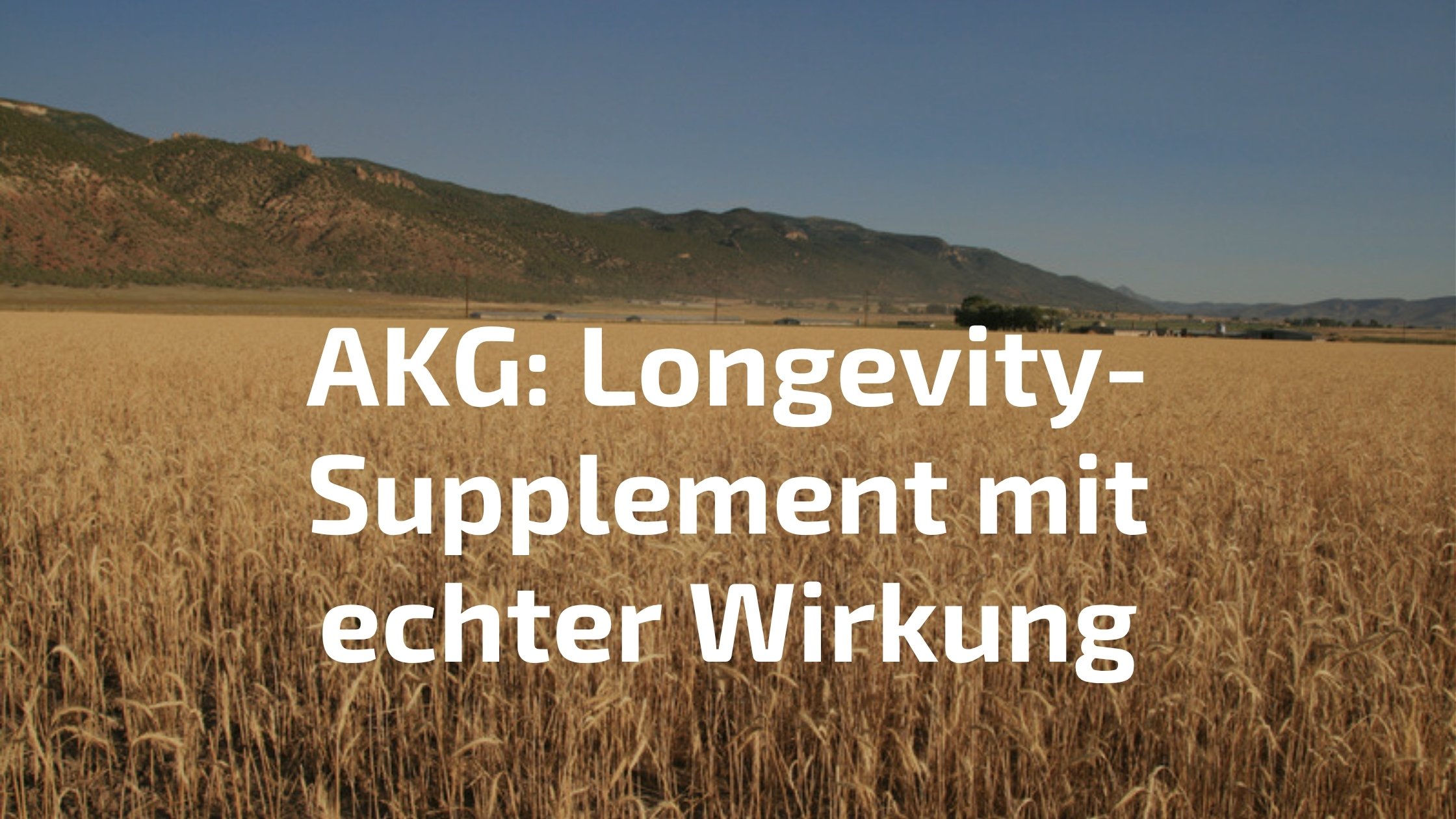 AKG Supplement Wirkung – Alpha-Ketoglutarat als Longevity-Supplement