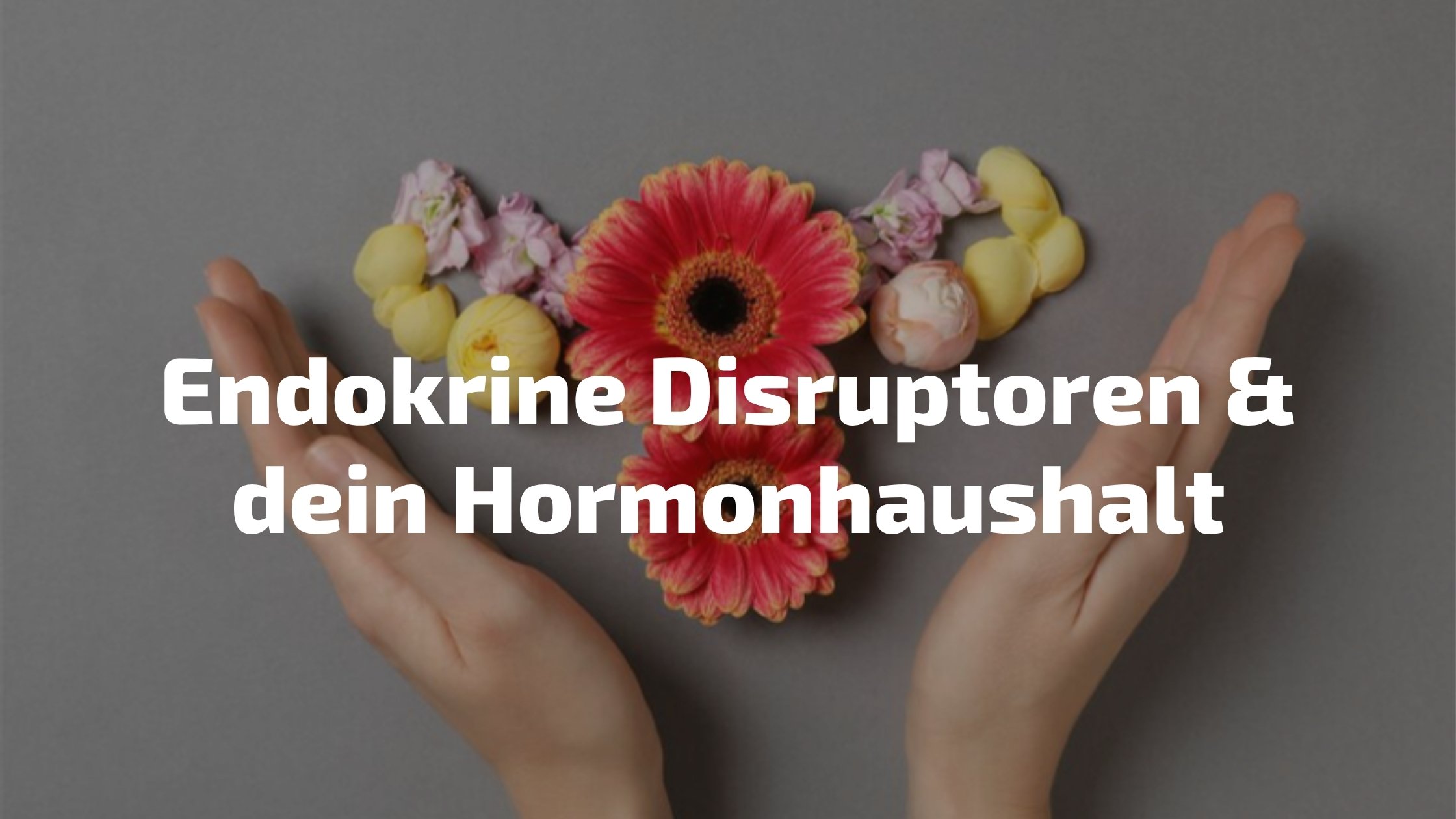 Endokrine Disruptoren erkennen und vermeiden – Hormonhaushalt schützen