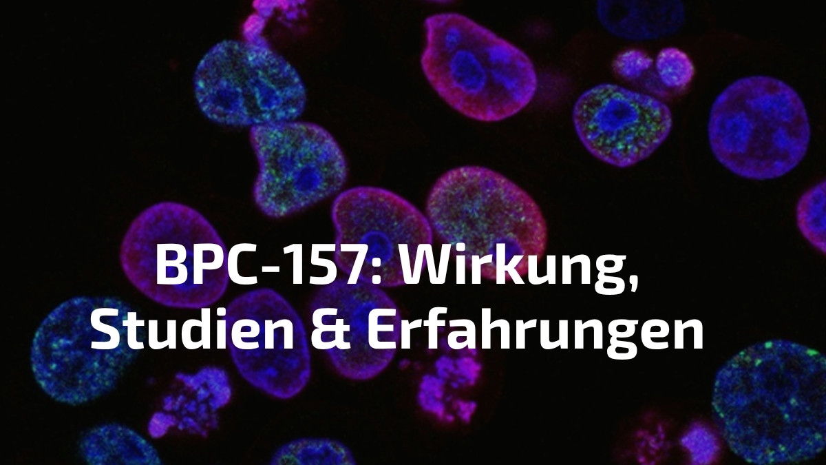 BPC-157 Wirkung Studien und Erfahrungen — Thorsten Schmitt erklärt
