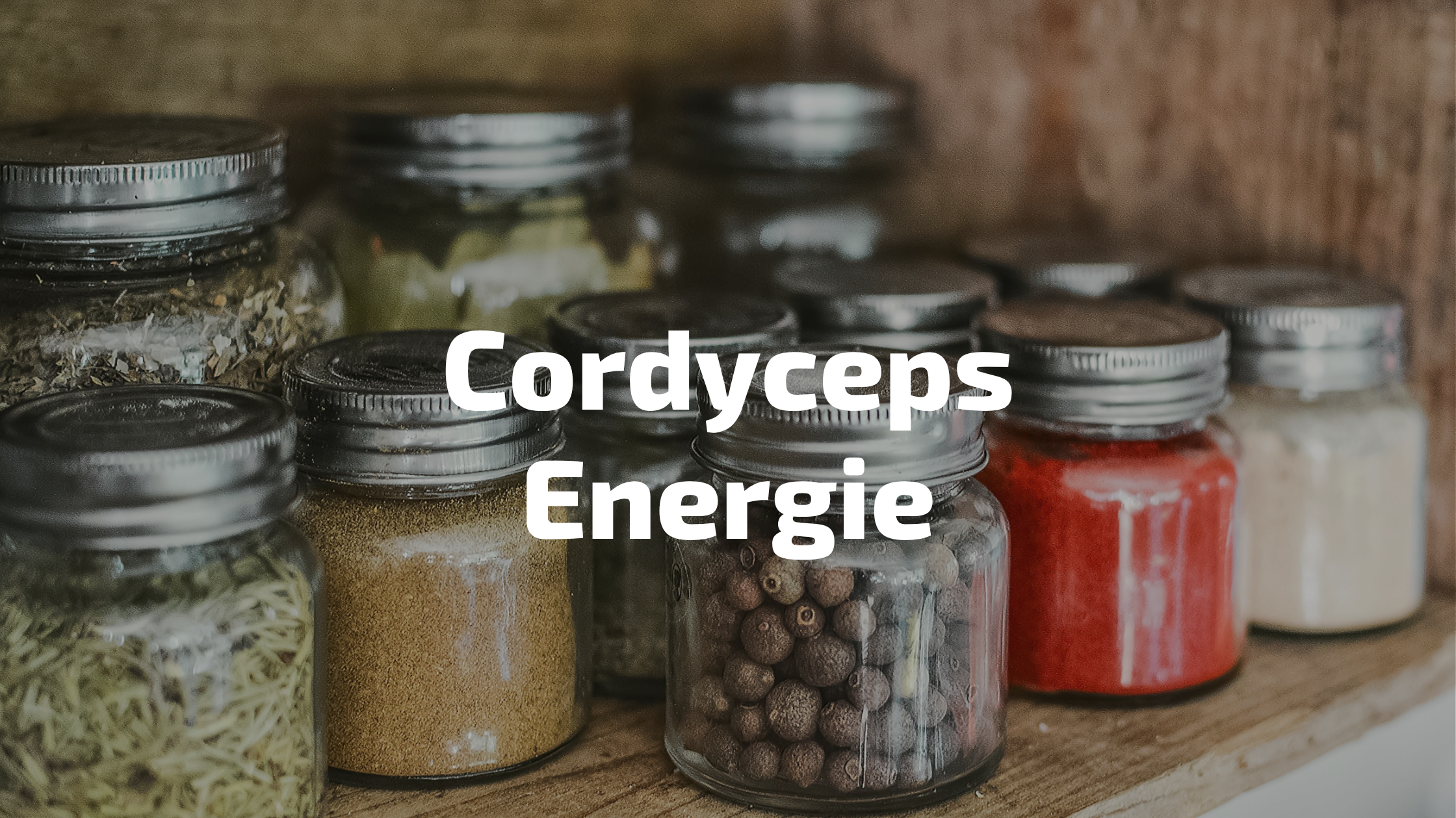 Cordyceps Energie – der tibetische Vitalpilz für mehr Kraft