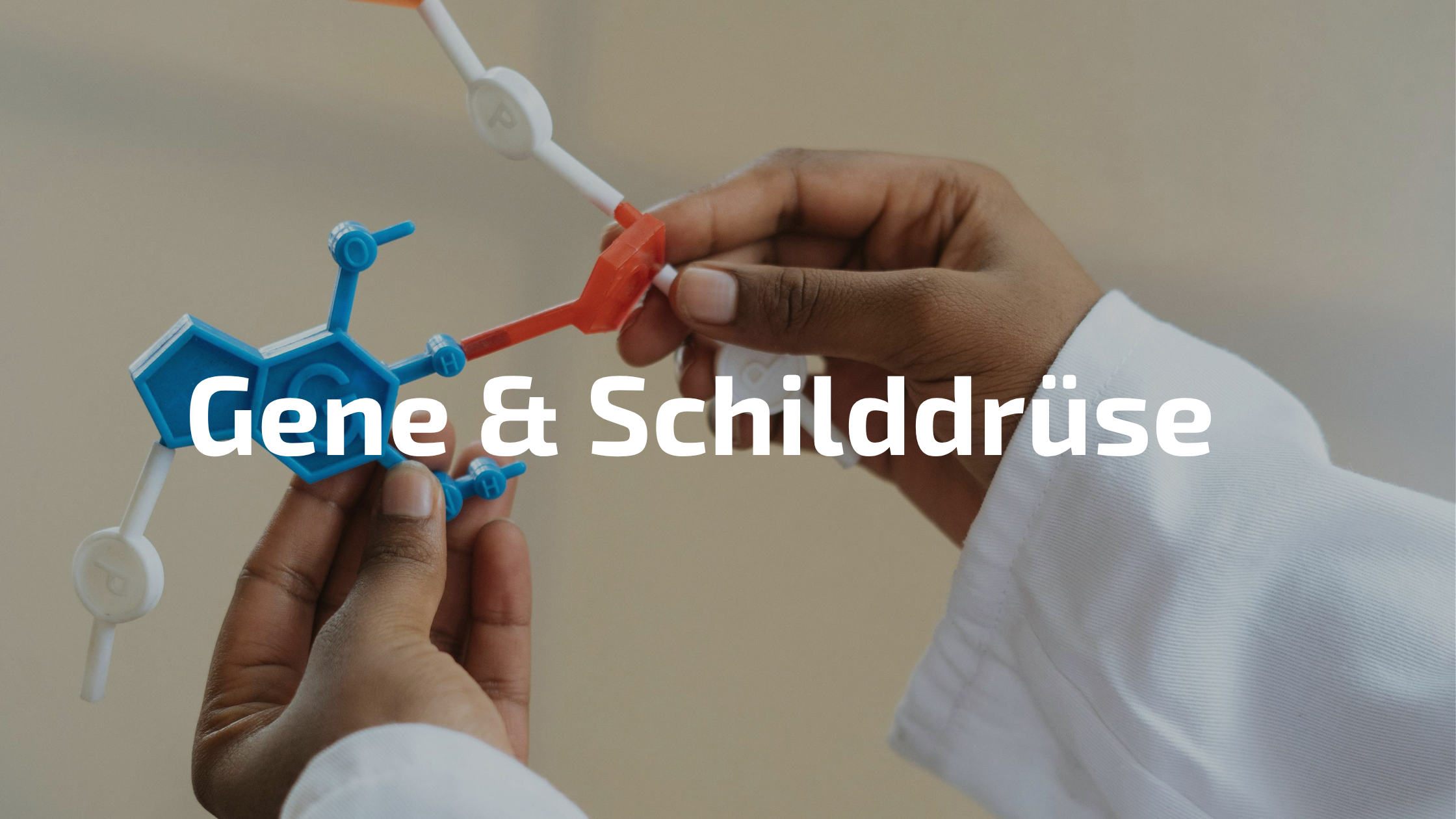 Müde trotz L-Thyroxin – Gene blockieren die Schilddrüsenfunktion