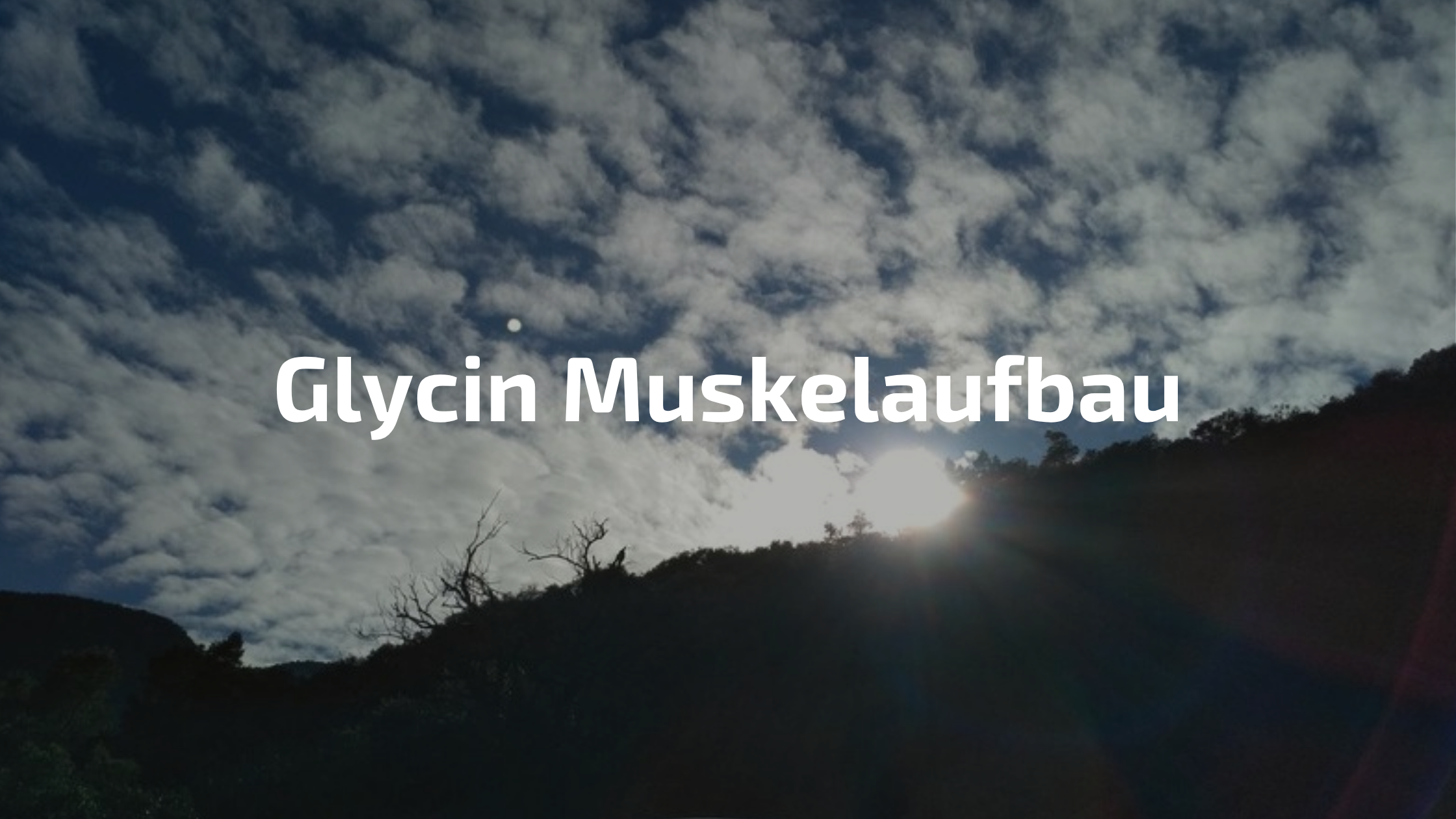 Protein und Muskelaufbau – Glycin-Aminosäure
