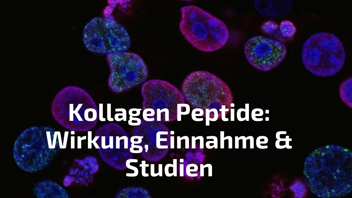Kollagen Peptide Wirkung und Einnahme — Thorsten Schmitt erklärt