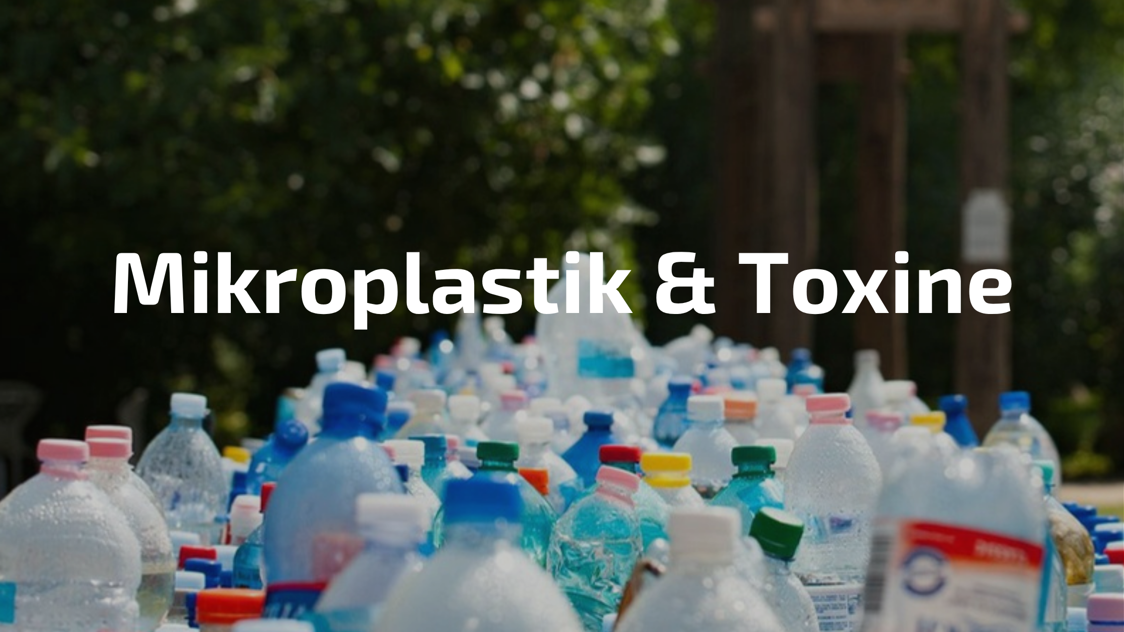 Plastikflaschen Umwelt – Mikroplastik Gesundheit schützen