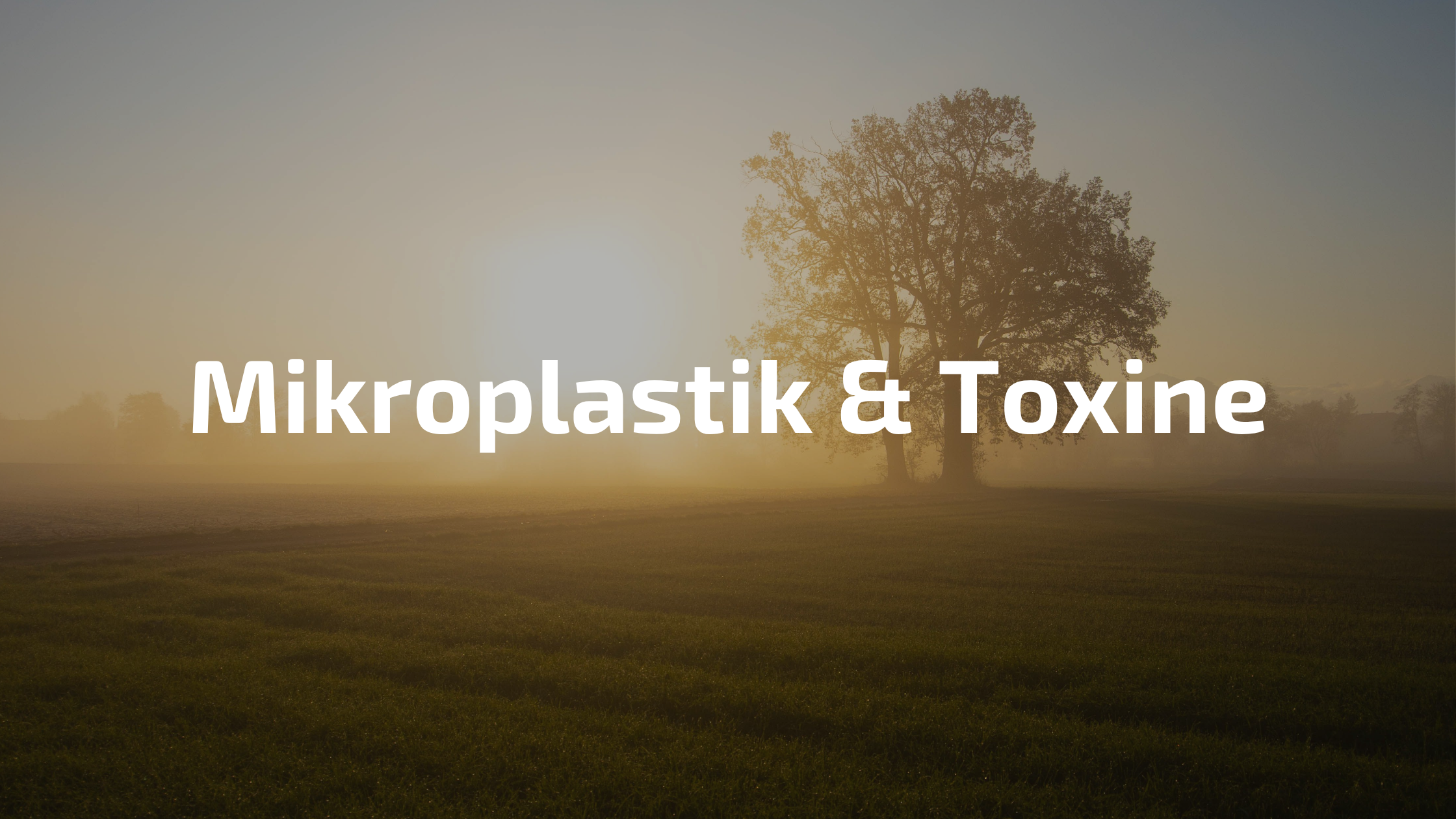 Mikroplastik und Toxine im Alltag – Schutz und Entgiftung