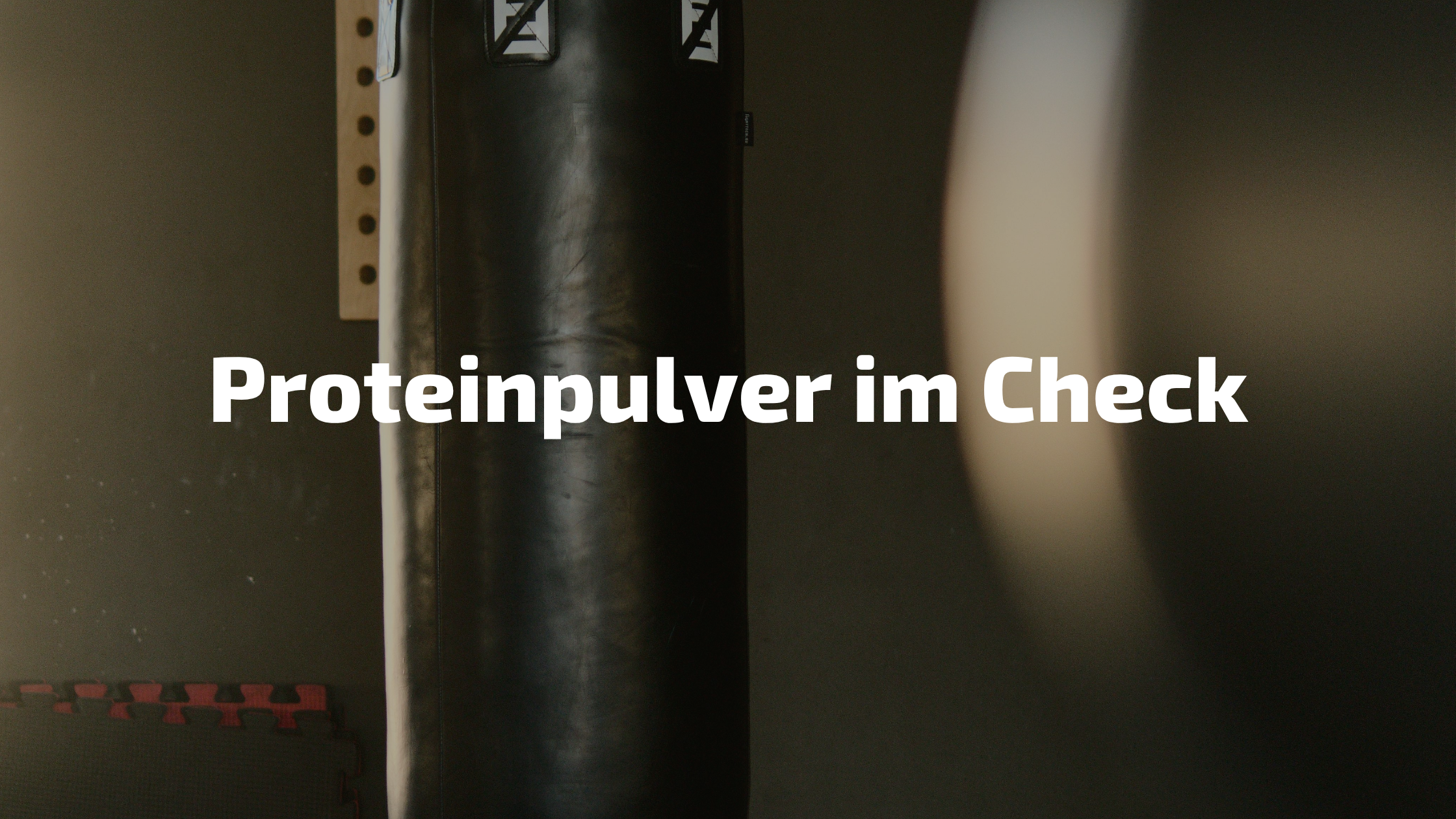 Proteinpulver Wahl – richtiges Eiweiß für Gesundheit und Sport