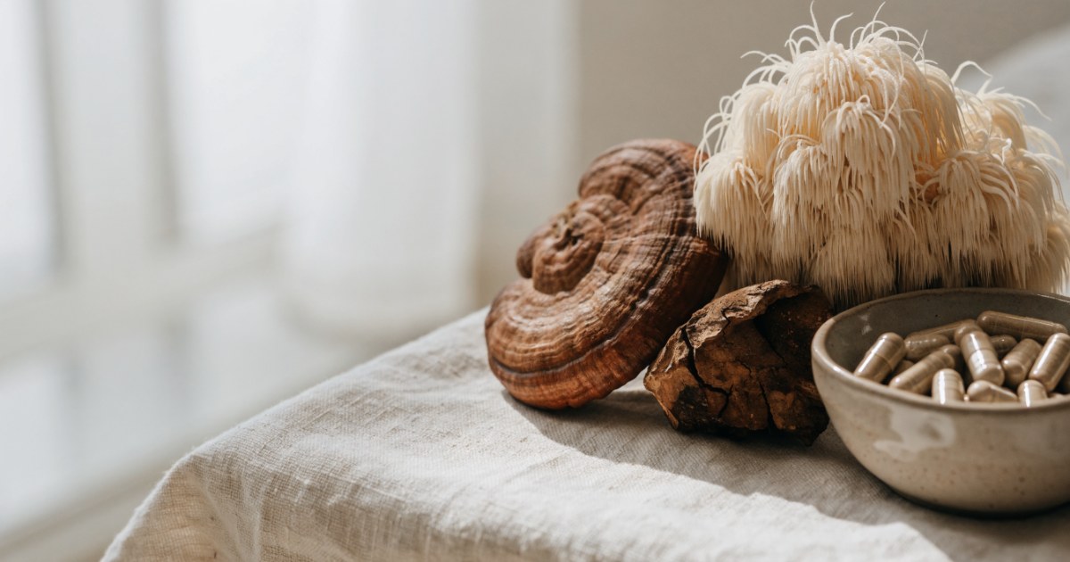 Vitalpilze bei Histaminintoleranz: getrocknete Reishi und Hericium auf hellem Leinen