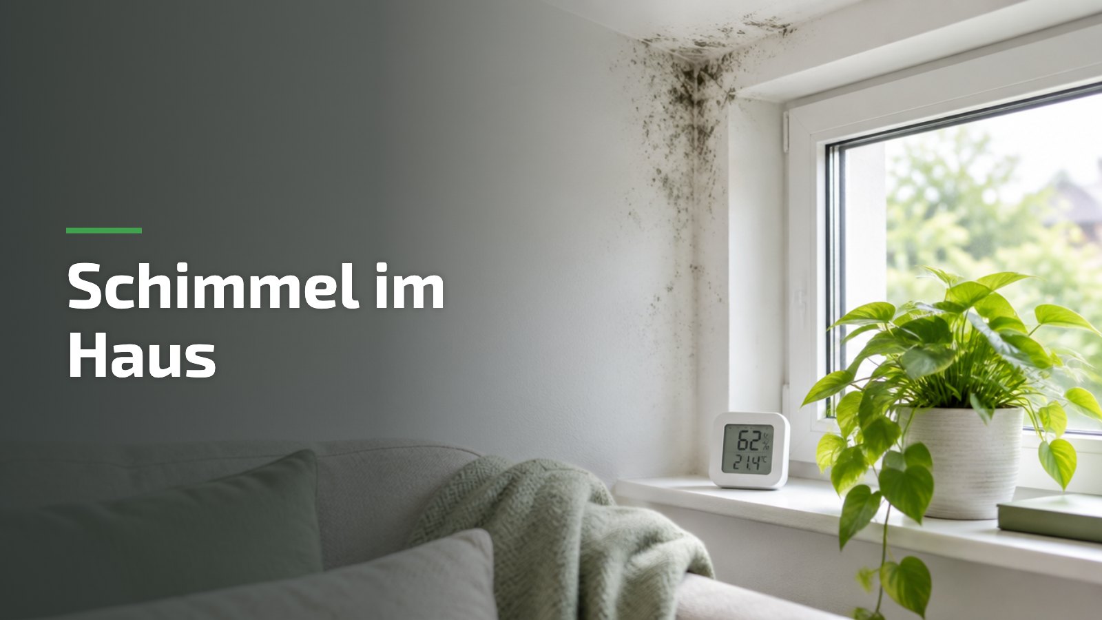 Schimmel im Haus: dunkle Schimmelflecken an der Wand über dem Fenster