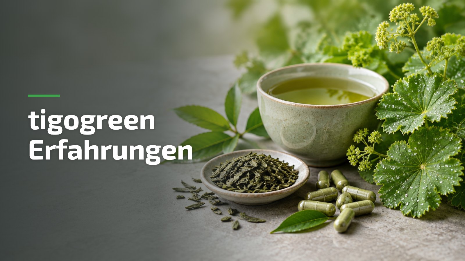 tigogreen Erfahrungen: Grüntee, grüne Kapseln und Frauenmantel